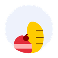 Sidebar Icon