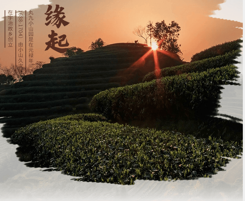 【日本直邮】丸久小山园 宇治云鹤(高级别)无糖抹茶粉茶道用 烘焙甜品用 20g罐装