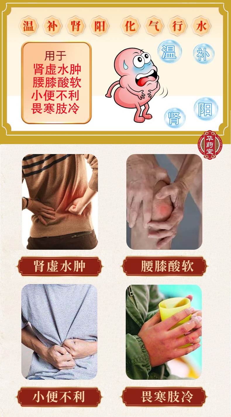 北京同仁堂 金匱腎氣丸 水蜜丸 360丸