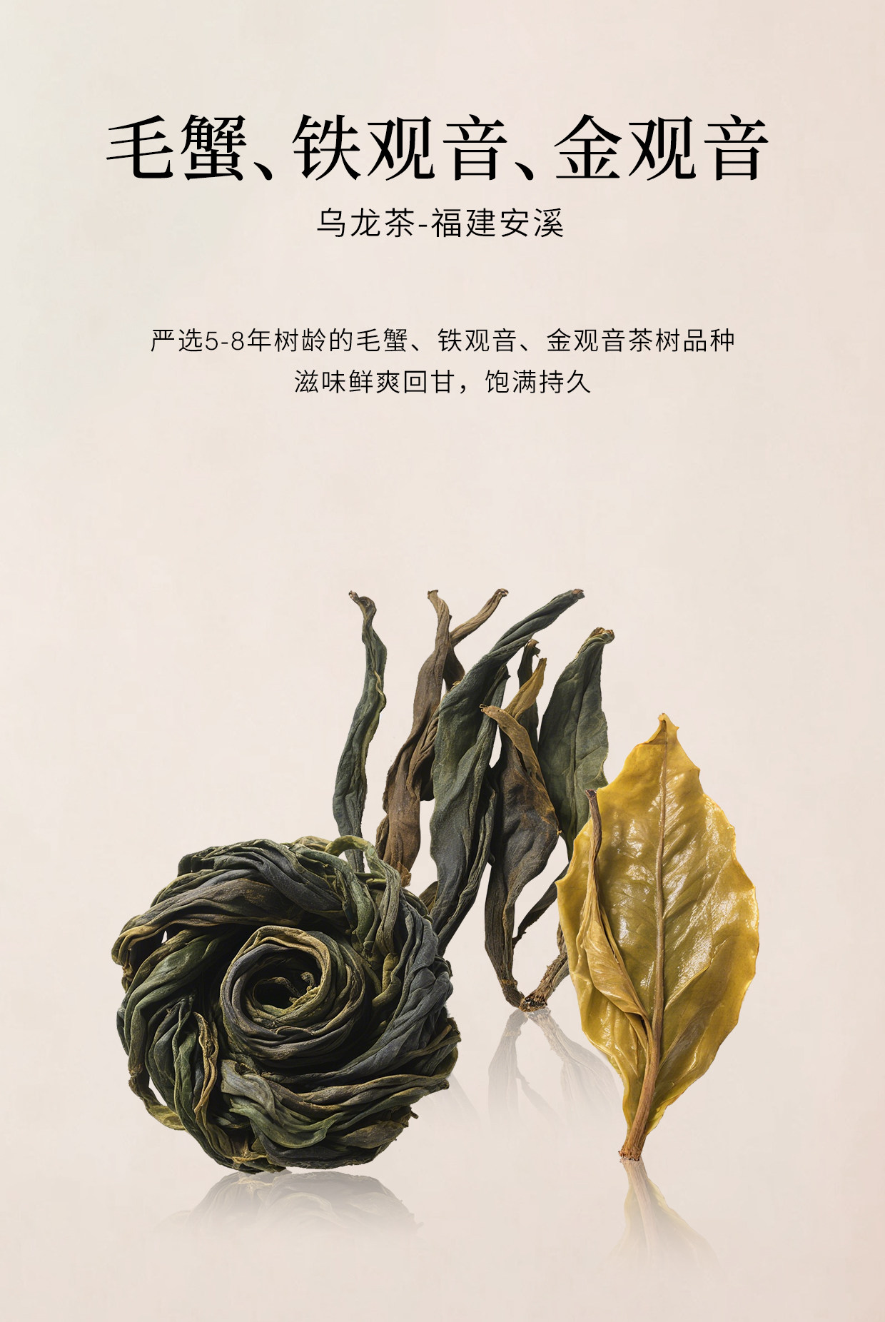 霸王茶姬 伯牙绝弦 茉莉花茶原叶袋泡茶 8包入 24g   新品随行装【清雅花香 鲜爽茶韵】