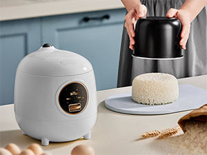 rice cooker