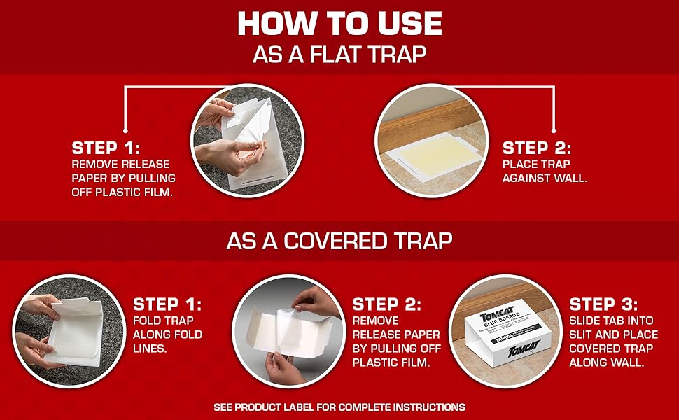 How to Use Tomcat Glue Boards with Eugenol