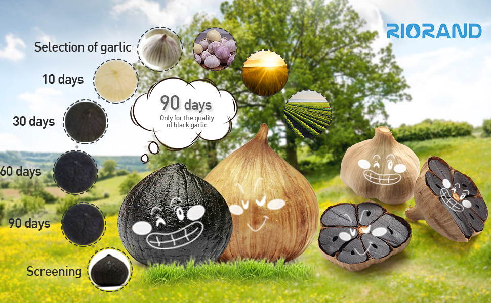RioRand Black Garlic