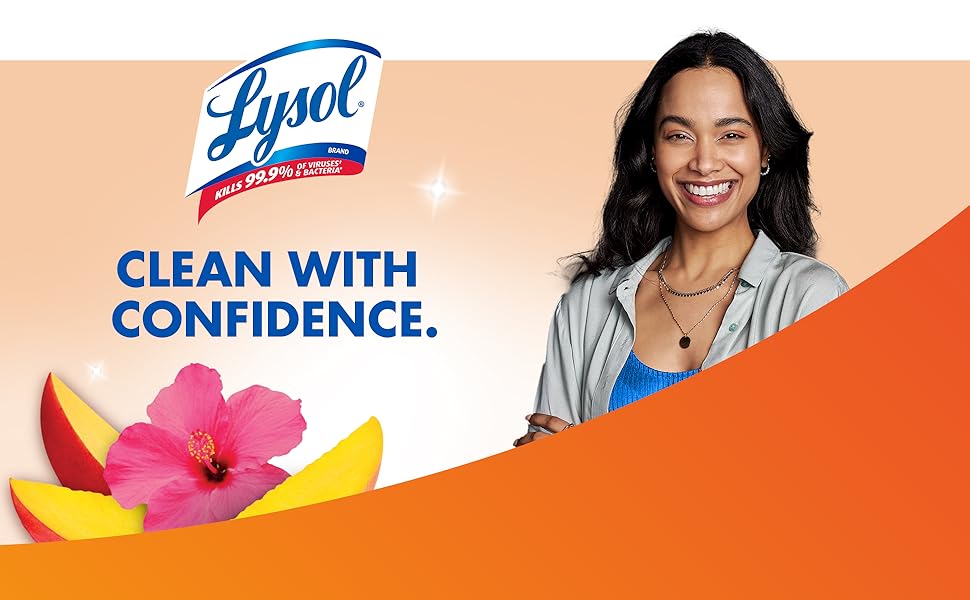 lysol disinfectant spray cleaning supplies disinfecting wipes bleach toilet cleaner