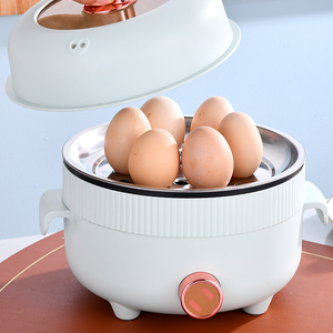 Electric Hot Pot 2.2L with Steamer