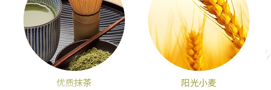 【日本直郵】GLICO格力高 百奇POCKY 期限限定 特濃抹茶塗抹餅乾棒