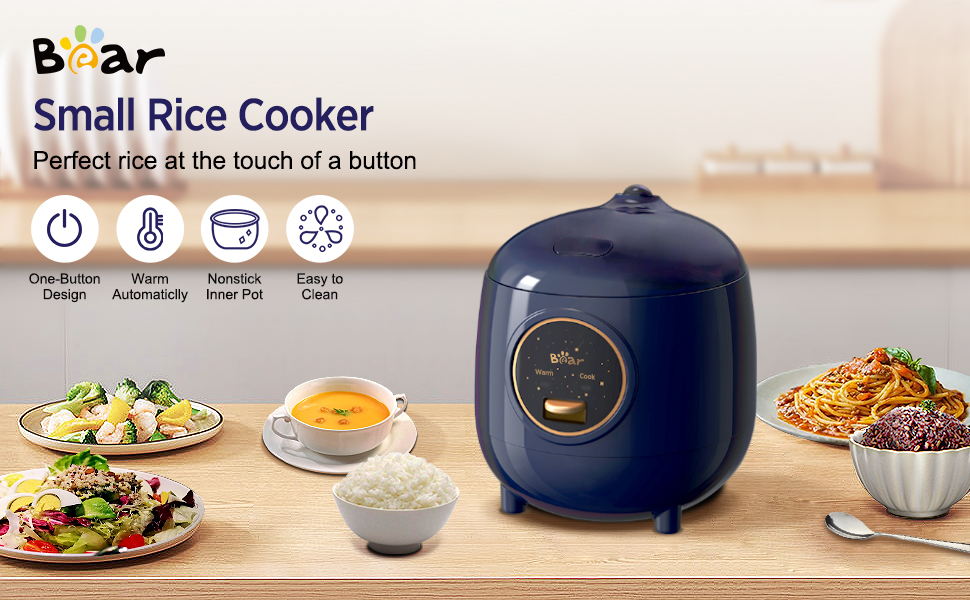rice cooker small