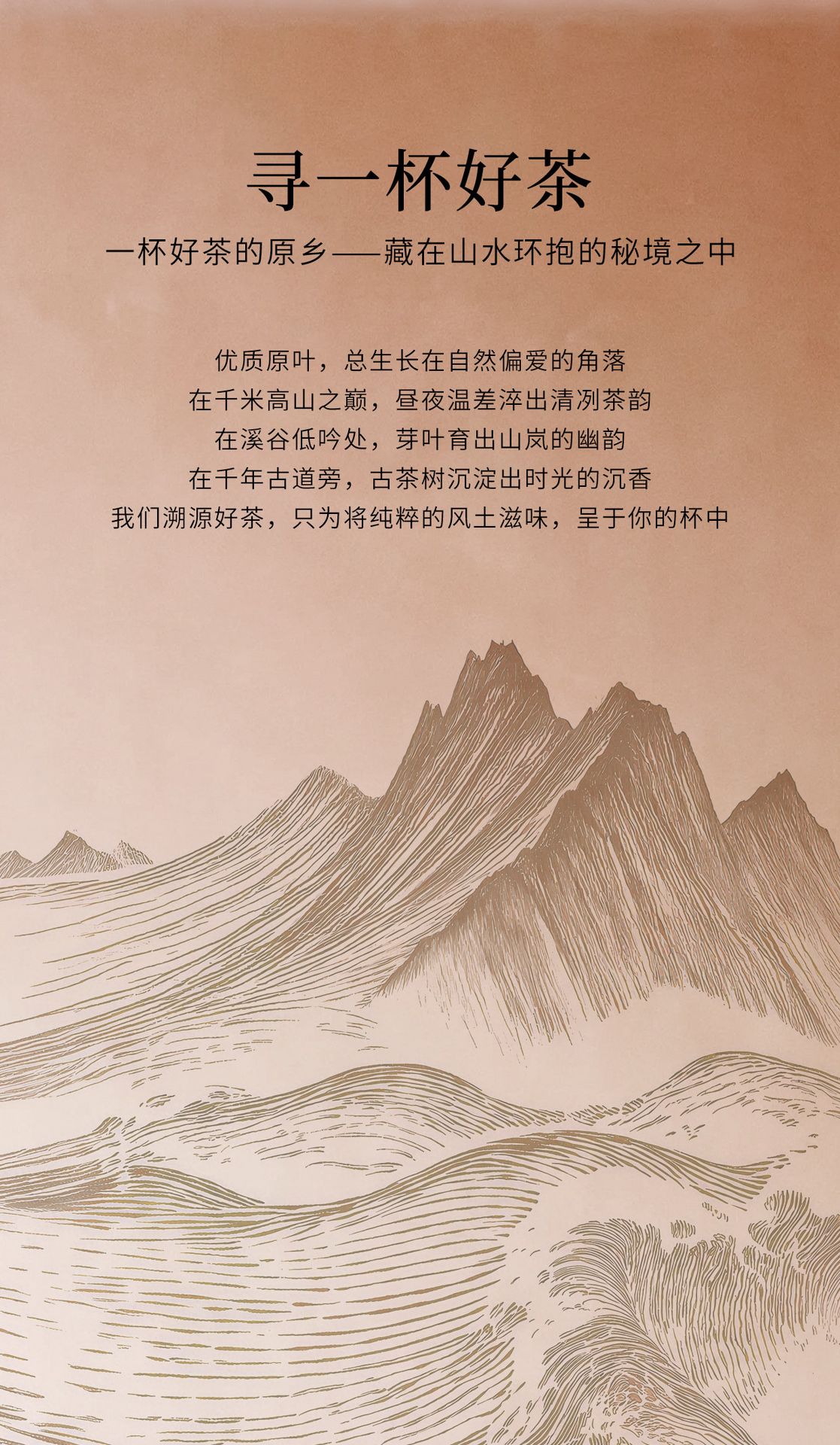 霸王茶姬 伯牙绝弦 茉莉花茶原叶袋泡茶 8包入 24g   新品随行装【清雅花香 鲜爽茶韵】