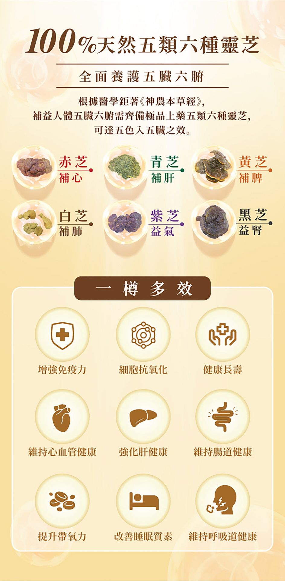VGL2025005-LingZhi_PDP-20250528-(1)_03.png__PID:4cbfbd94-a41e-4f70-ba9c-31cdd55c6e36