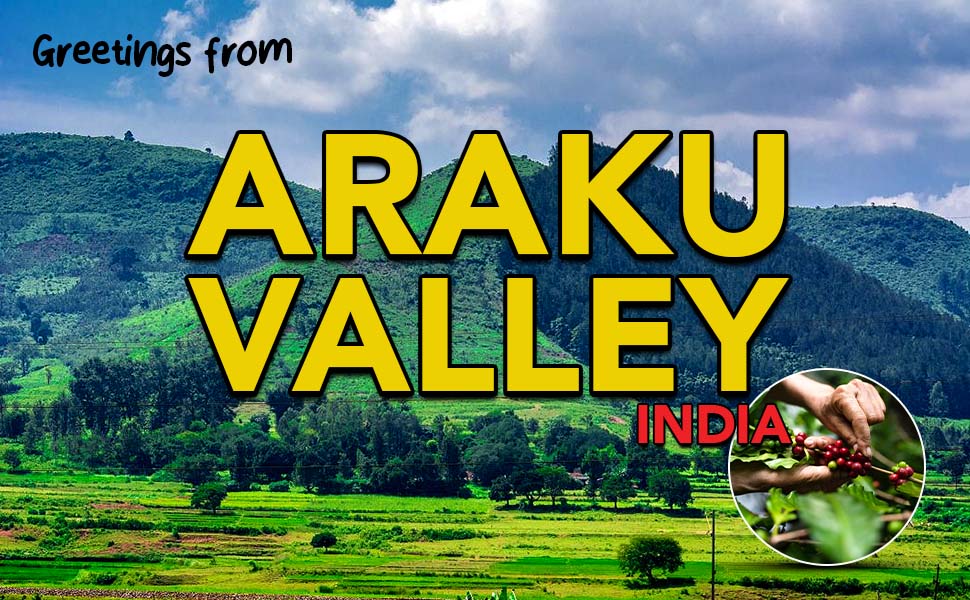 Araku Valley Coffee, Indian Coffee, Araku Valley India Coffee, Boomi Coffee Brew Bags