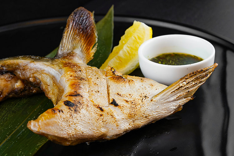 Japanese Hamachi "Yellowtail"