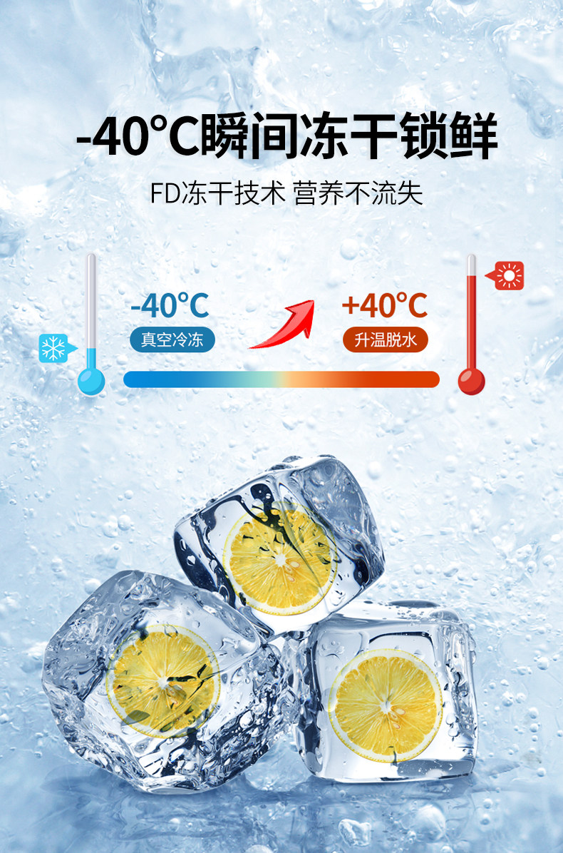 Fresh Tea Freeze Get Freeze-dried Lemon Slices Fruit Tea Cold Brew Tea 150 g Delivered ...