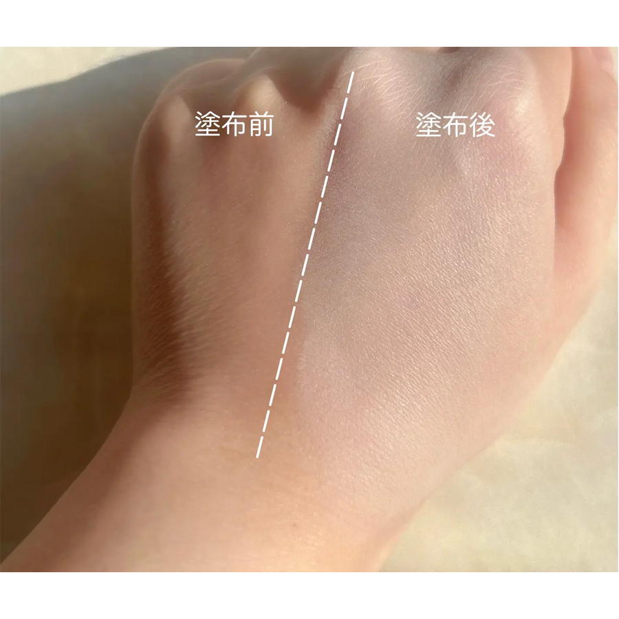 【日本直郵】 日本 ELEGANCE 雅莉格絲 歡顏蜜粉餅#4 E大餅便攜裝 8.8g