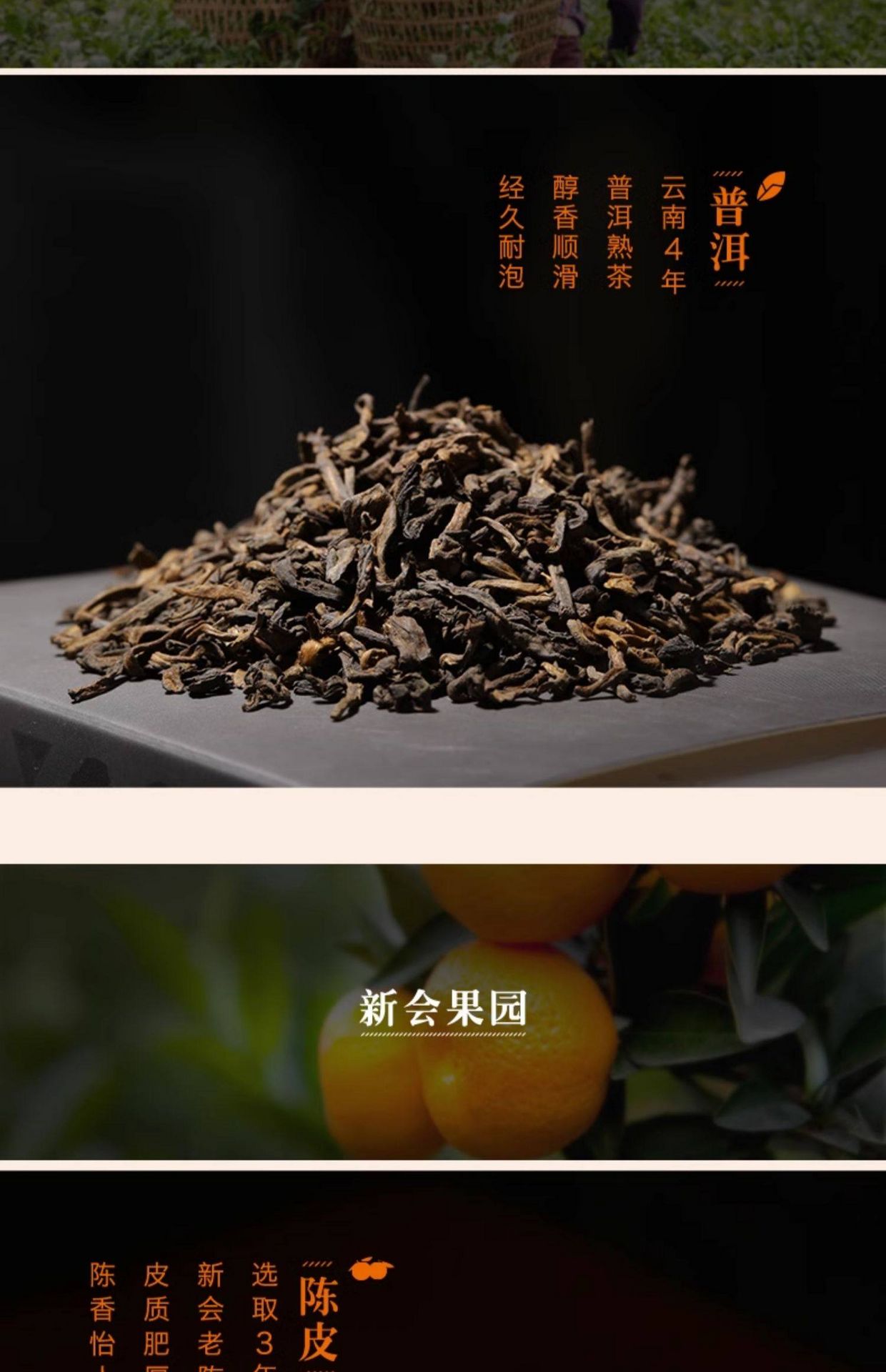 茶里陈皮普洱茶3g*18袋/1盒54 克- Weee!