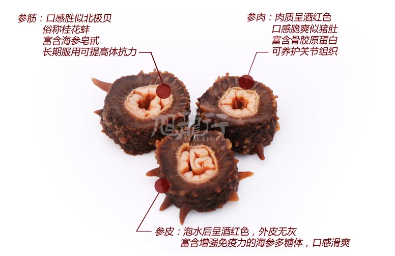 Alaska Sea Cucumber 阿拉斯加紅參