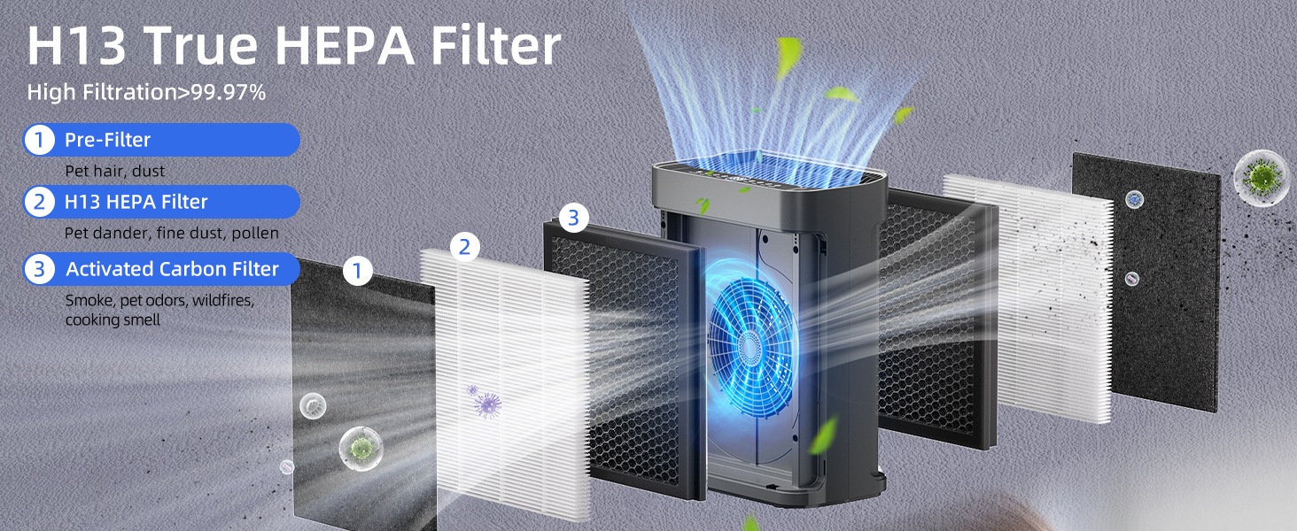 Air Purifiers for Home Large Room