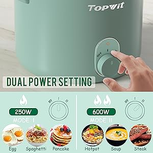 Multi-use Electric Hot Pot