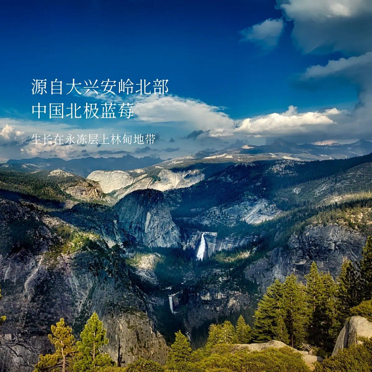 ผงบลูเบอร์รีไซร์ดราย Soileta 100g 100 g