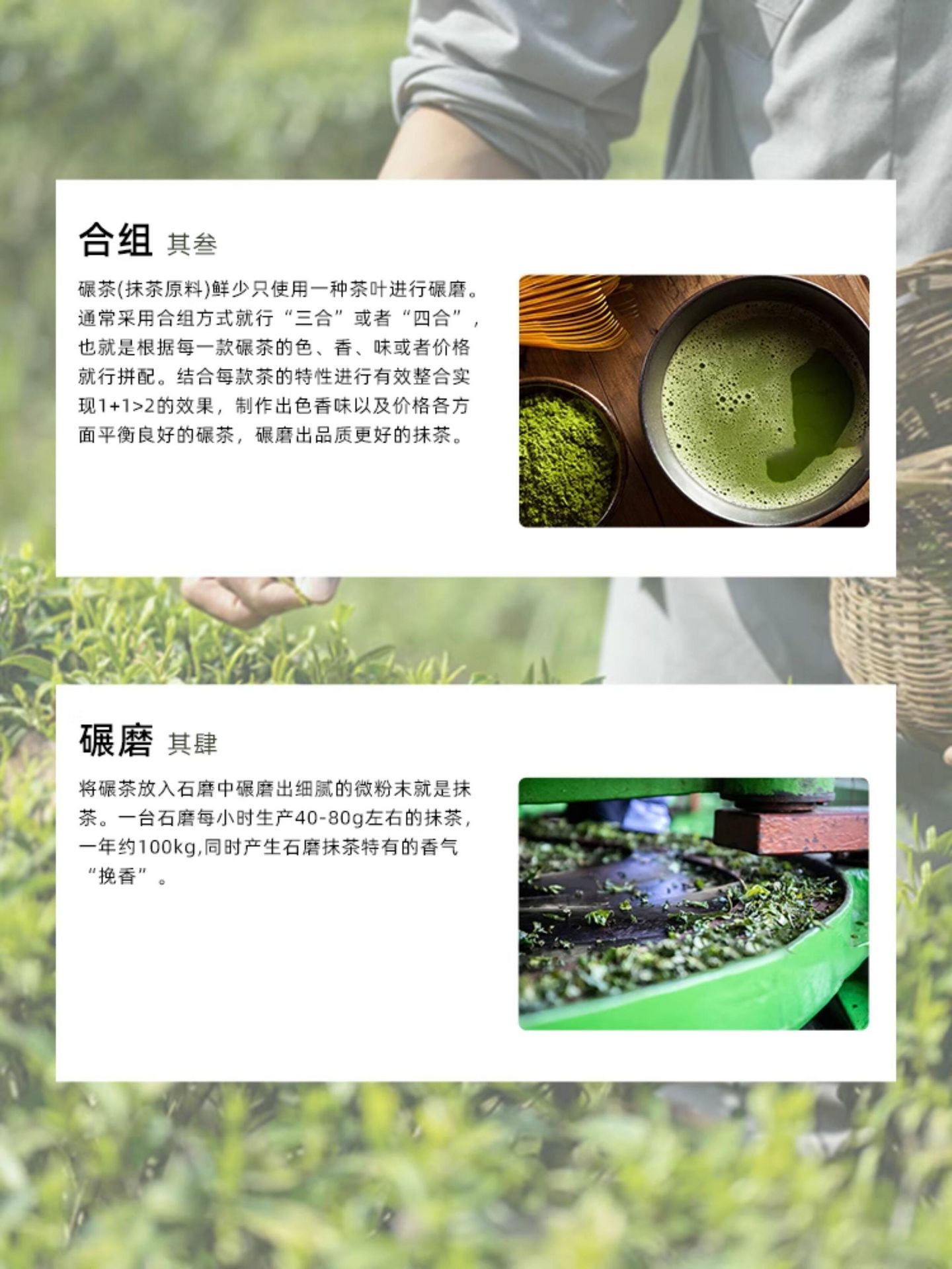 均衡大师 五十铃 有机抹茶粉 30g【高于国标一级 茶道级薄茶 适合入门爱好者】【0添加】【适用直饮拿铁烘焙甜品】