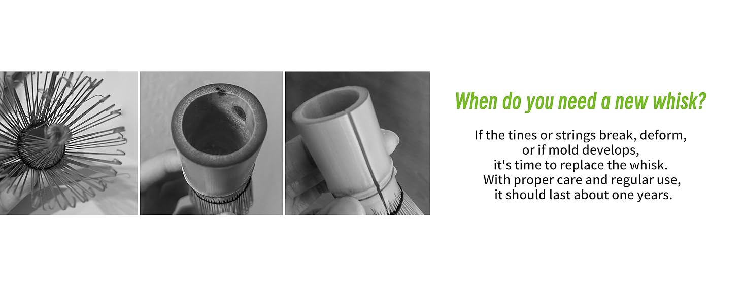if the tines break,deform or mold develops ,its time to replace the matcha whisk