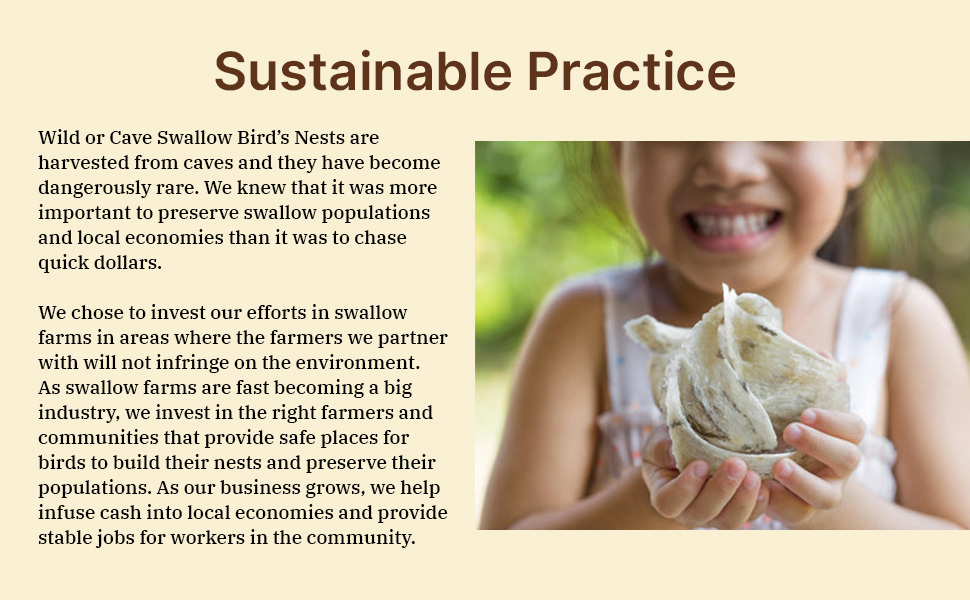 a short summary of our sustainable practice