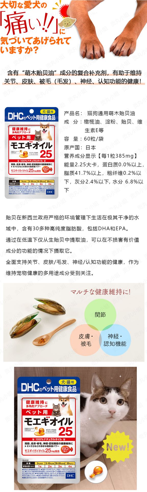 【日本直郵】DHC軟骨素寵物貓狗折耳貓綠貽貝關節脊椎修復止痛60粒