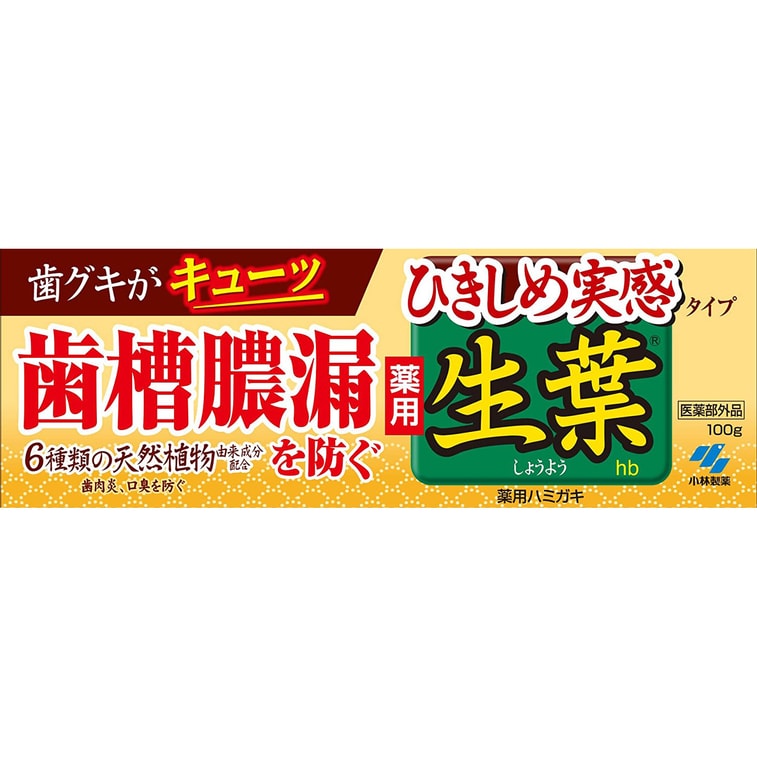 KOBAYASHI JAPAN Toothpaste Yellow - Weee!