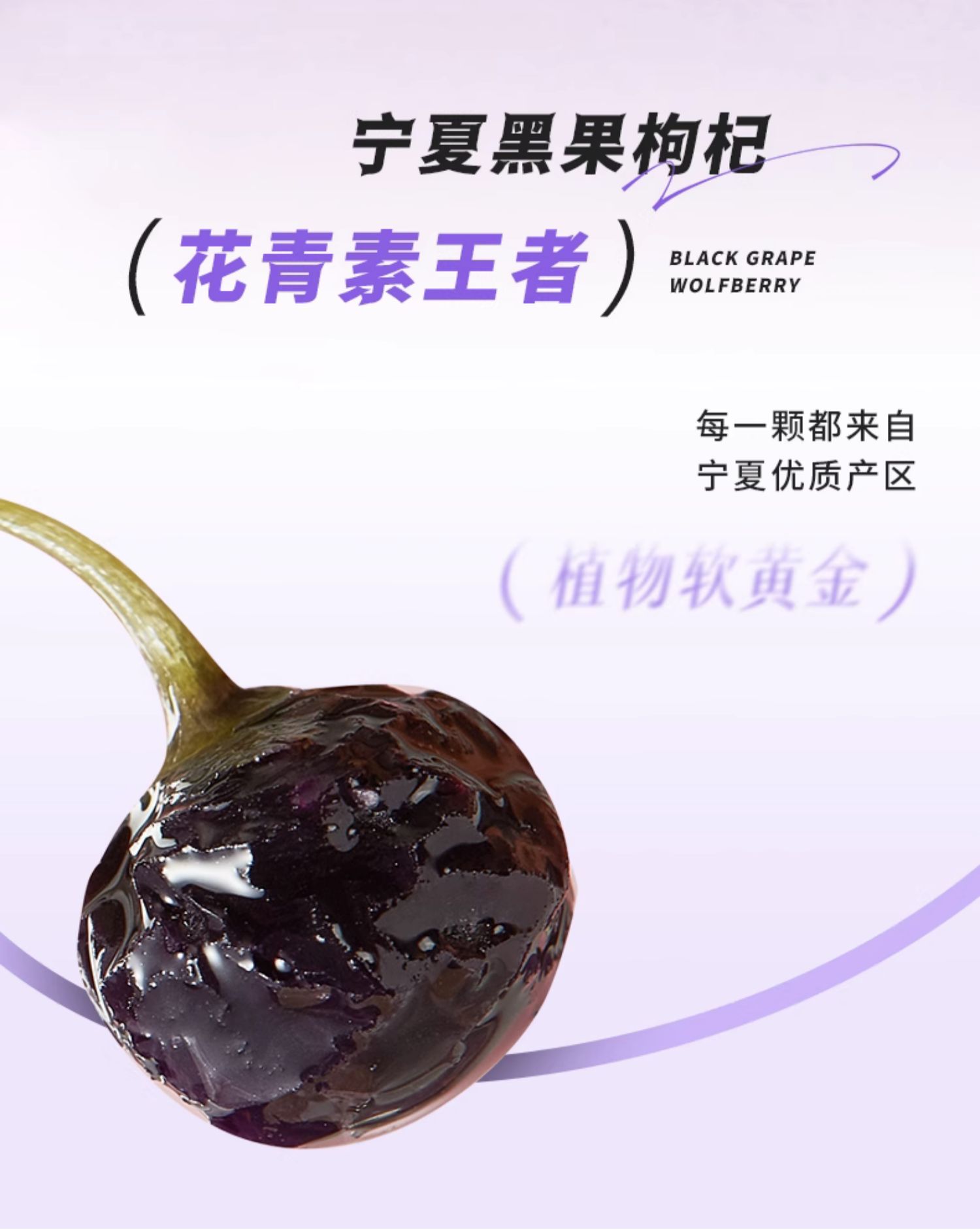 【中国直邮】 CHALI茶里 肖战推荐 黑枸杞葡萄乌龙茶 12袋装/盒