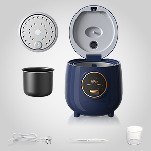 rice cooker small