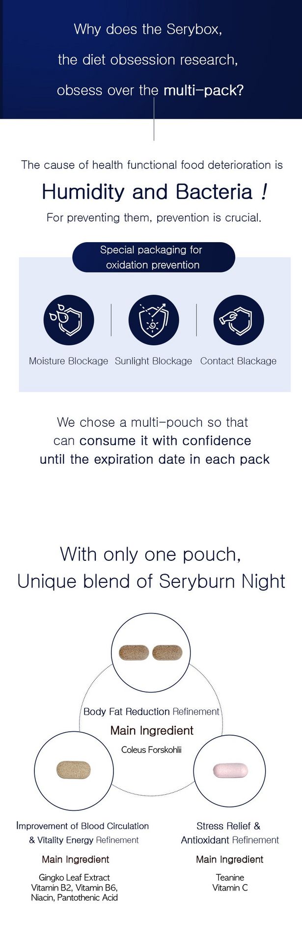 Seryburn Night V2