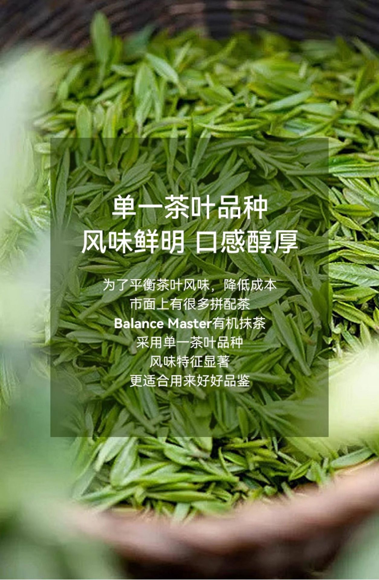 均衡大师 五十铃 有机抹茶粉 30g【高于国标一级 茶道级薄茶 适合入门爱好者】【0添加】【适用直饮拿铁烘焙甜品】