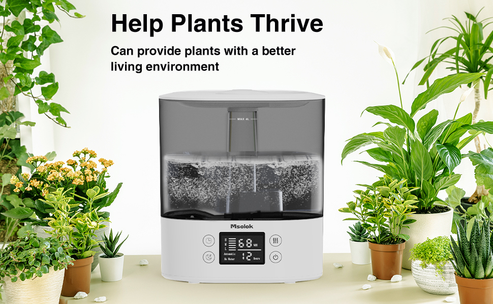 Air Humidifiers