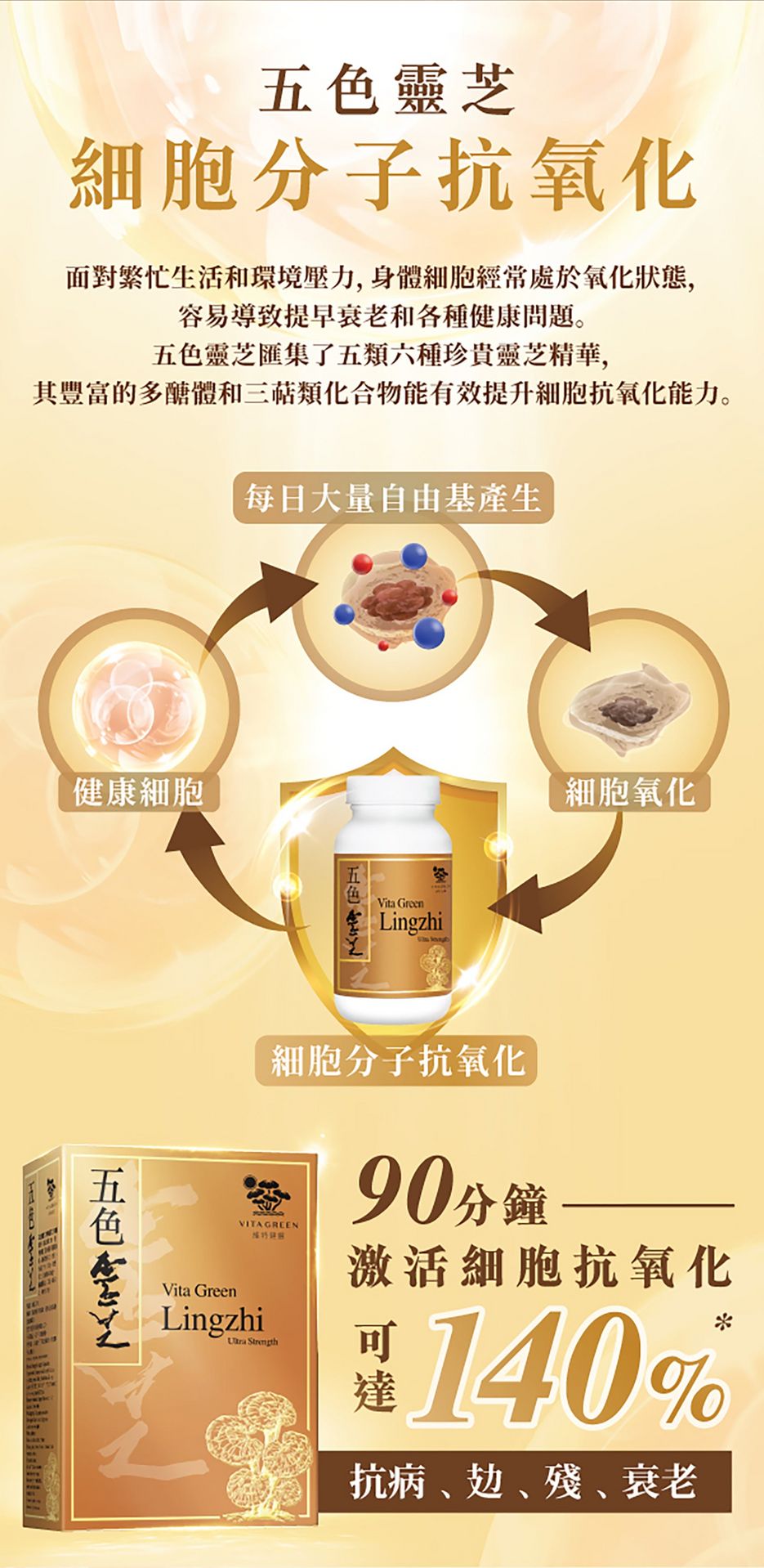 VGL2025005-LingZhi_PDP-20250528-(1)_05.png__PID:bd94a41e-6f70-4a9c-b1cd-d55c6e365360