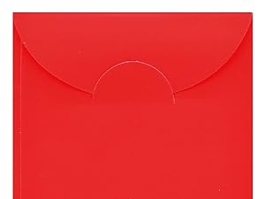 6 Patterns 36 Pcs Lunar New Year Red Envelopes 2026