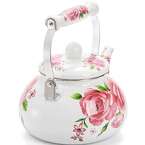 water kettle stove top