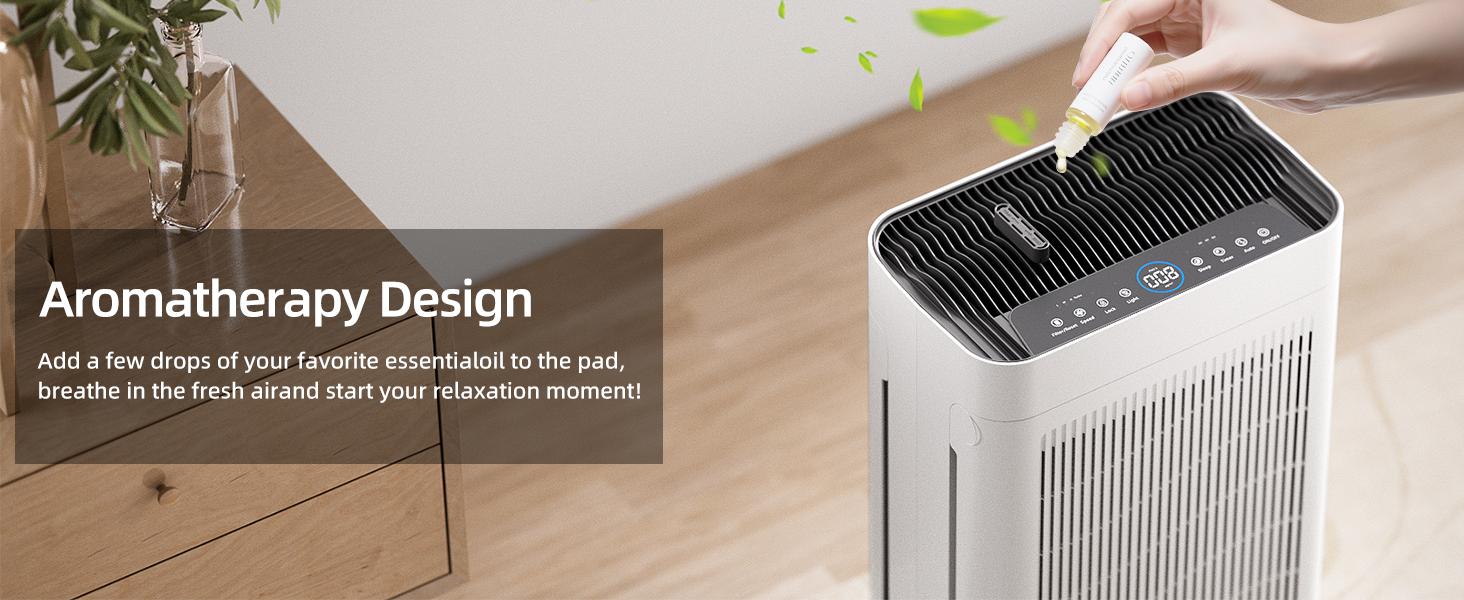 Air Purifiers for Home Large Room