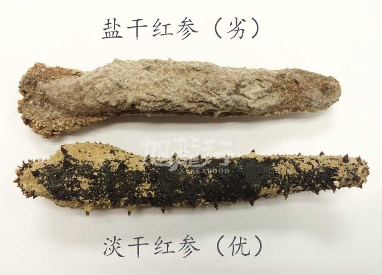 Alaska Sea Cucumber 辨別鹽乾淡乾紅參