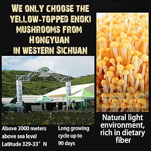 金針菇