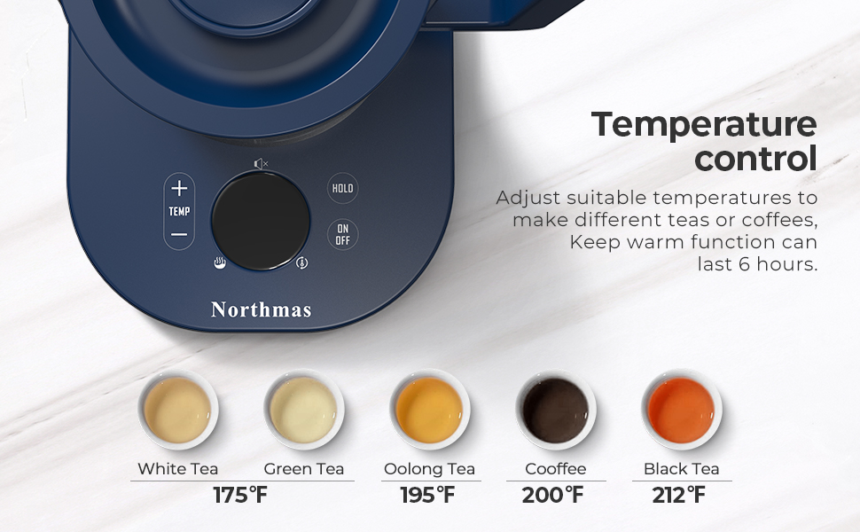 electric control kettle