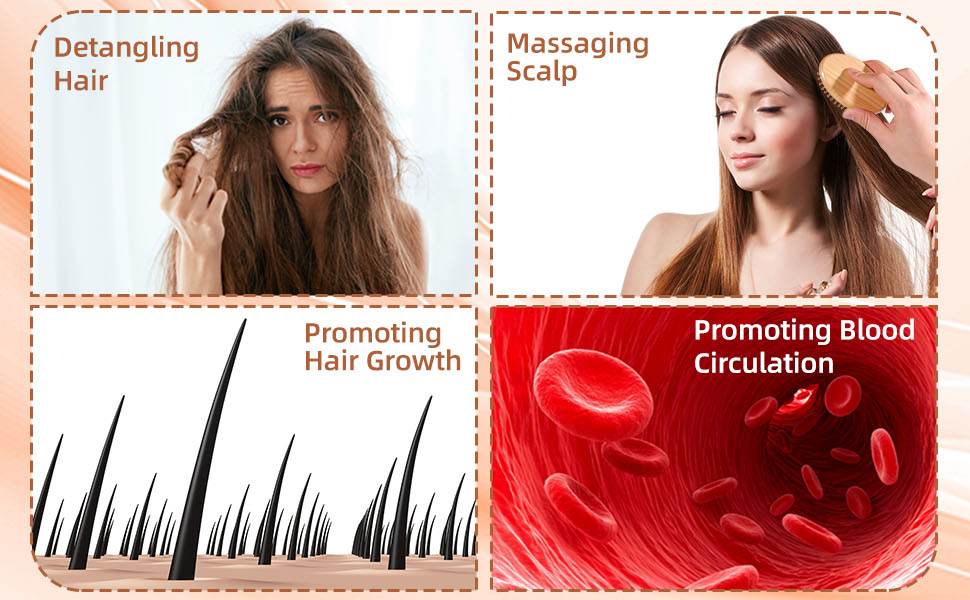 Promotin Blood Circulation