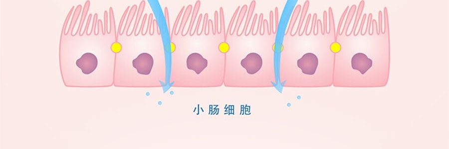 日本FANCL 微分子玻尿酸補水養膚丸 30粒
