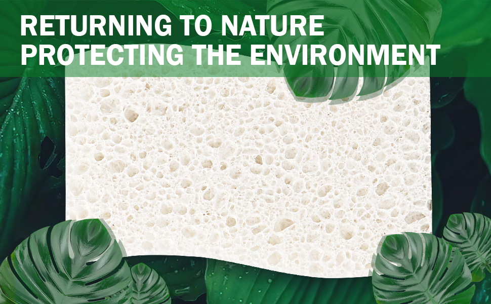 Natural Sponge