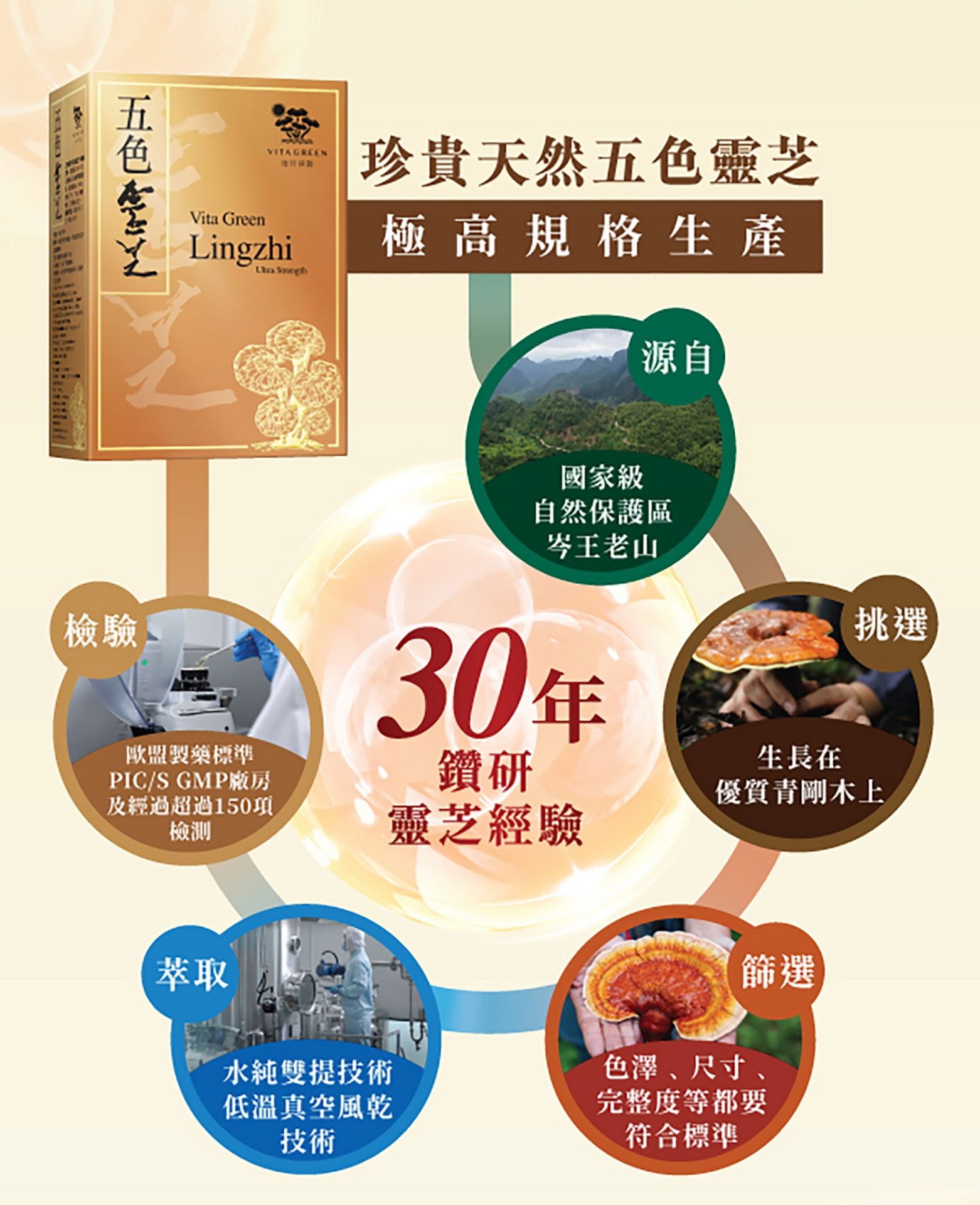 VGL2025005-LingZhi_PDP-20250528-(1)_06.png__PID:94a41e6f-70fa-4c31-8dd5-5c6e365360c6