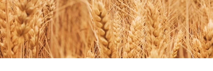 日本MARUTAI 北海道味噌拉面 2人份 216g