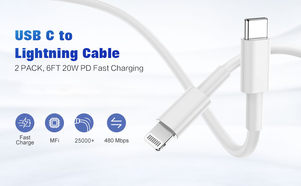 2 件装 6 英尺 USB C 转闪电连接线