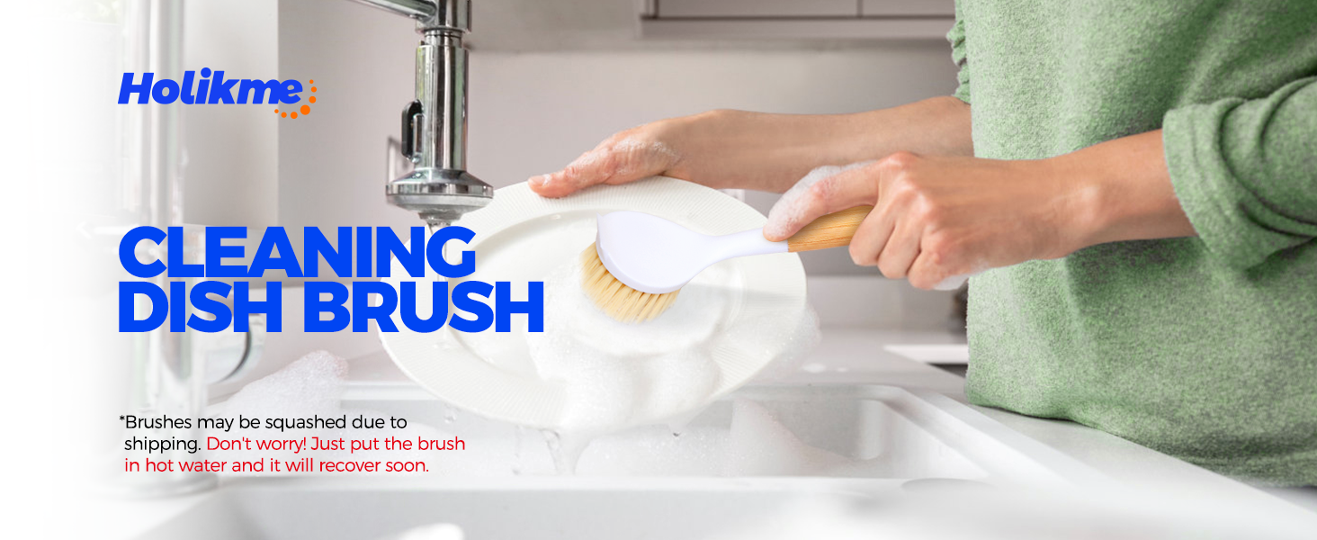 dish brush