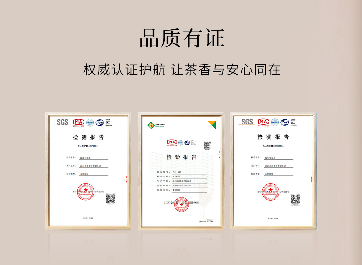 霸王茶姬 伯牙绝弦 茉莉花茶原叶袋泡茶 8包入 24g   新品随行装【清雅花香 鲜爽茶韵】