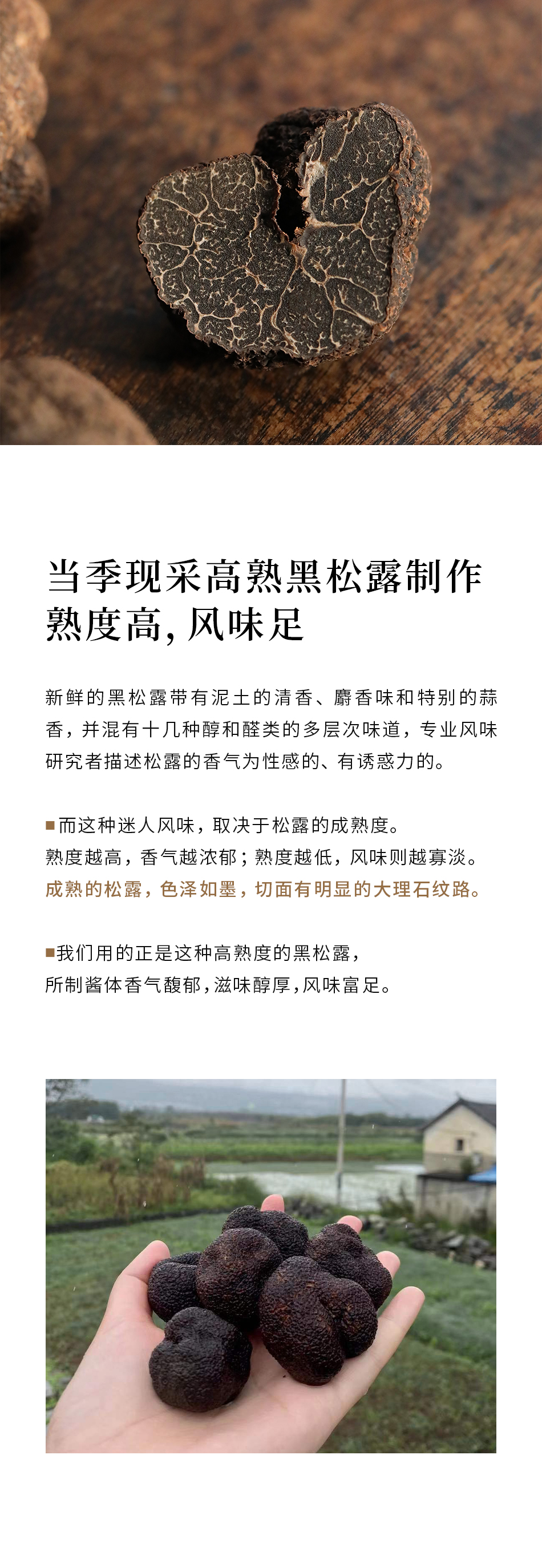南食召【黑松露酱】最优等级 4倍含量·浓郁醇香 不加香精意大利面酱面包抹酱 200克 