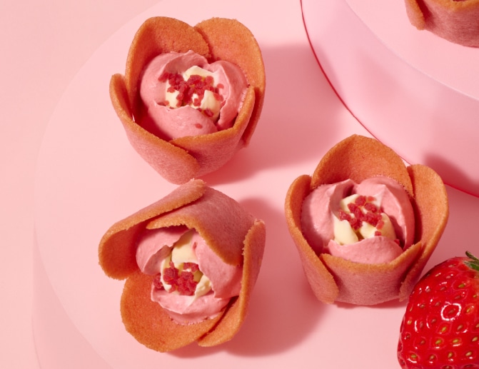 尽情享受郁金香玫瑰的魅力