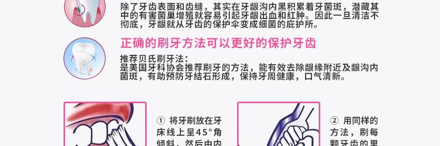 日本大正製藥 齒科醫生設計成人牙刷 一件入 前硬後軟植毛小刷頭 顏色隨機發貨